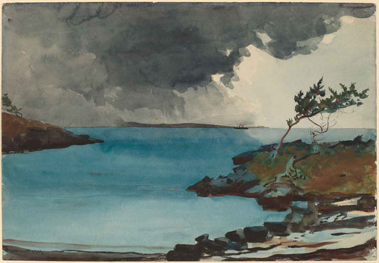 The Coming Storm by Winslow Homer 1901