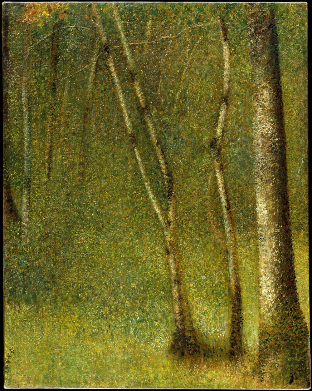 The Forest at Pontaubert by Georges Seurat 1881