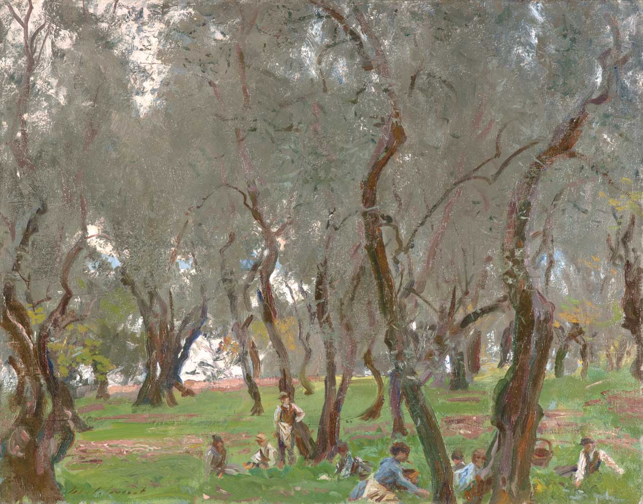 The Olive Grove by John Singer Sargent 1910