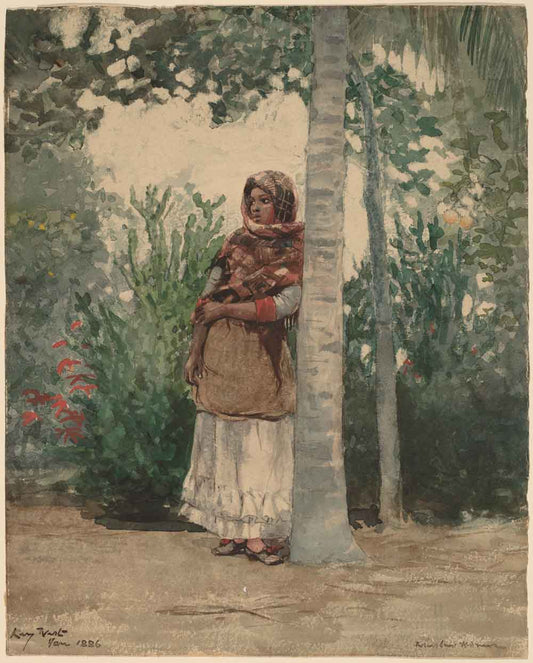 Under a Palm Tree by Winslow Homer 1886